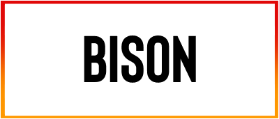 Bison Font style download