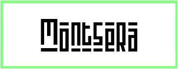 Montsera Font Style download