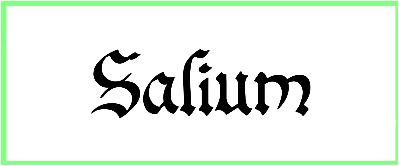 Salium Font style download