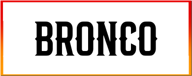 Bronco Font style download