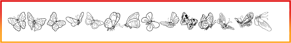 ButterFly icon font style download