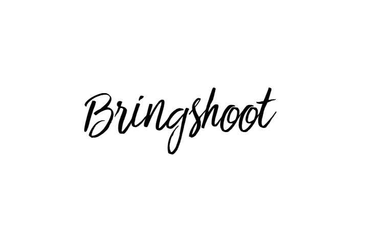 Bringshoot font download