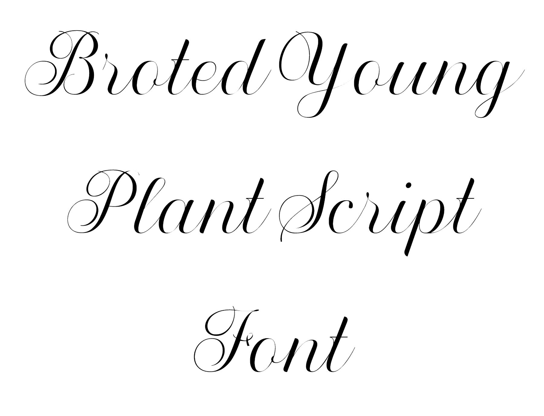 Broted Young Plant Script Font download