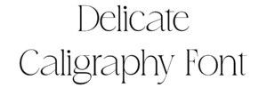 Delicate Caligraphy Font Download