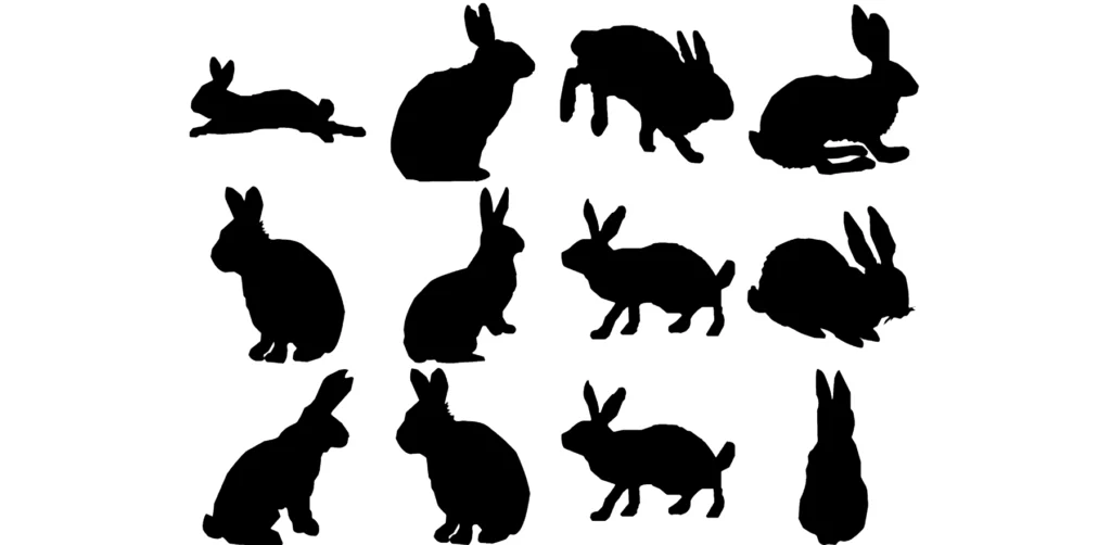 LP Rabbits 1 Font Download