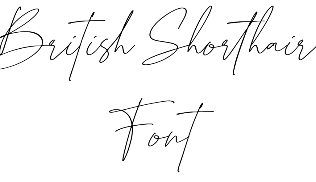 British Shorthair Font Download
