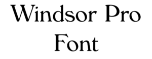 Windsor Pro Font Download