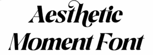 Aesthetic Moment Font Download