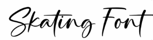 Skating Font Download
