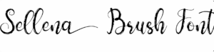 Sellena Brush Font Download