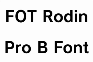 FOT Rodin Pro B Font Download