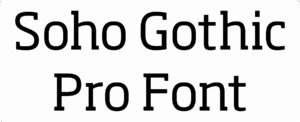 Soho Gothic Pro Font Download