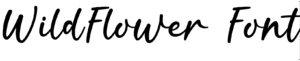 WildFlower Font Download