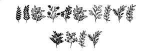 WildPlants Font Download