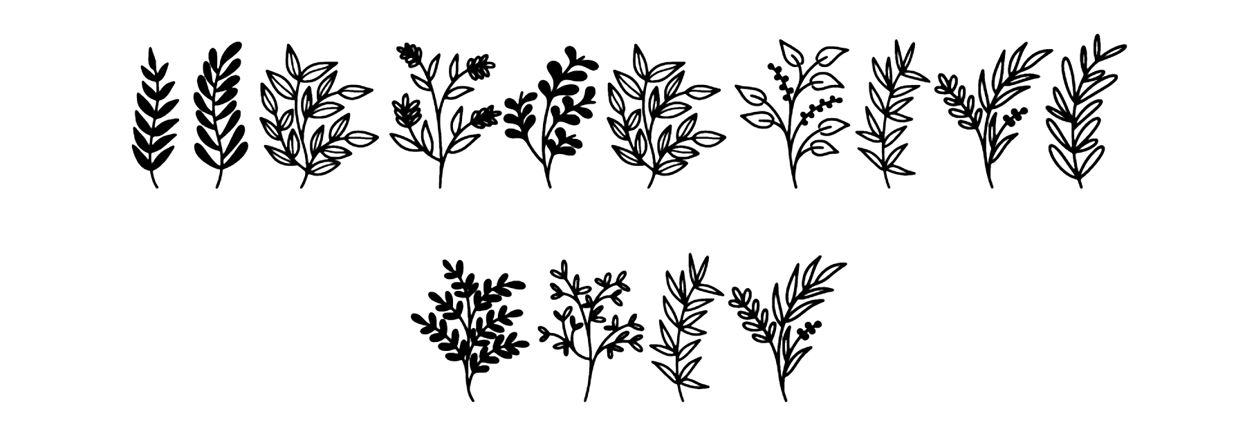 WildPlants Font Download