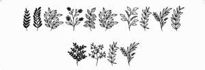Wildplants Font Download