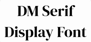 DM Serif Display Font Download